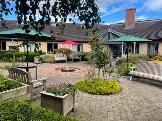 Gascoigne House, Rathmines – Garden