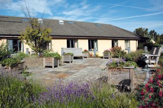 Glebe House, Kilternan - Garden